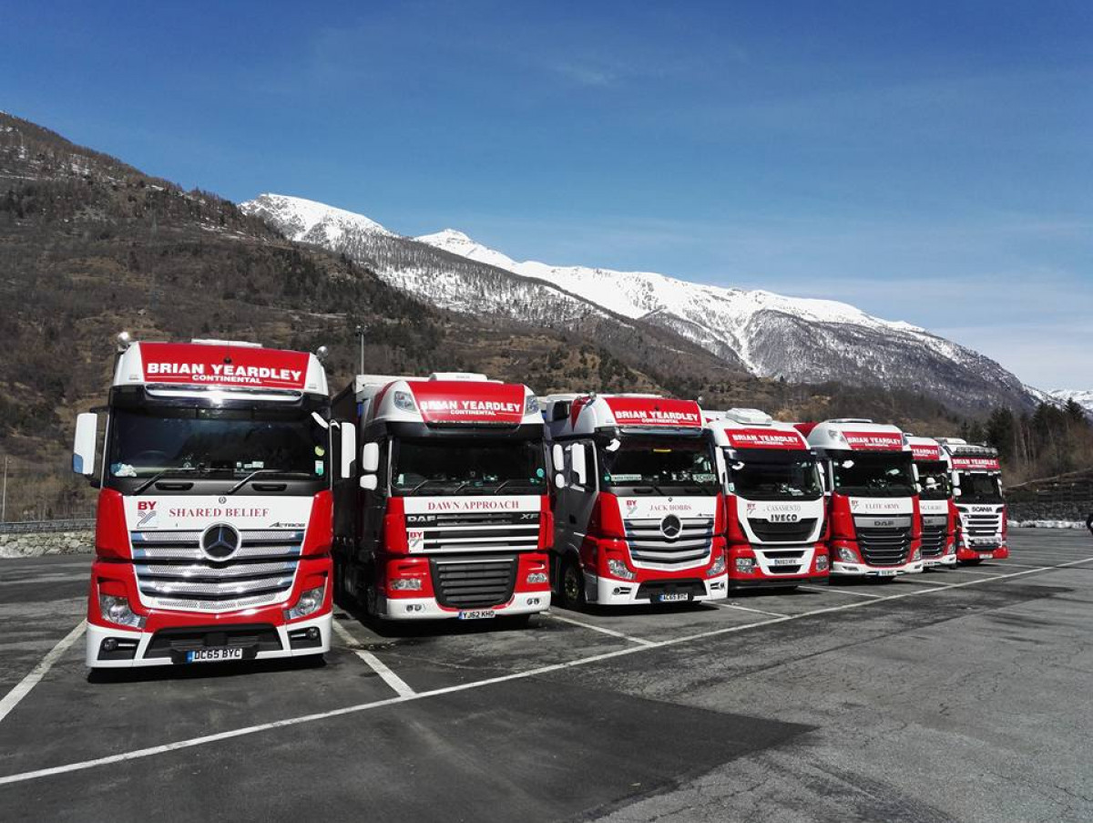 5th Year Working On The Bologna Book Fair