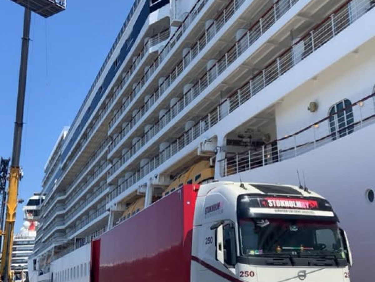 Anyone for a  Cruise?